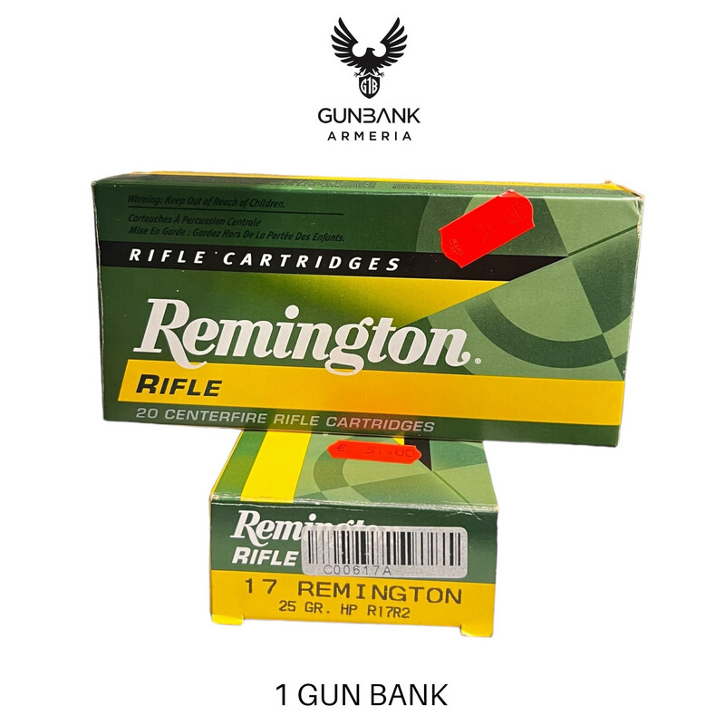 Remington Rifle 17
