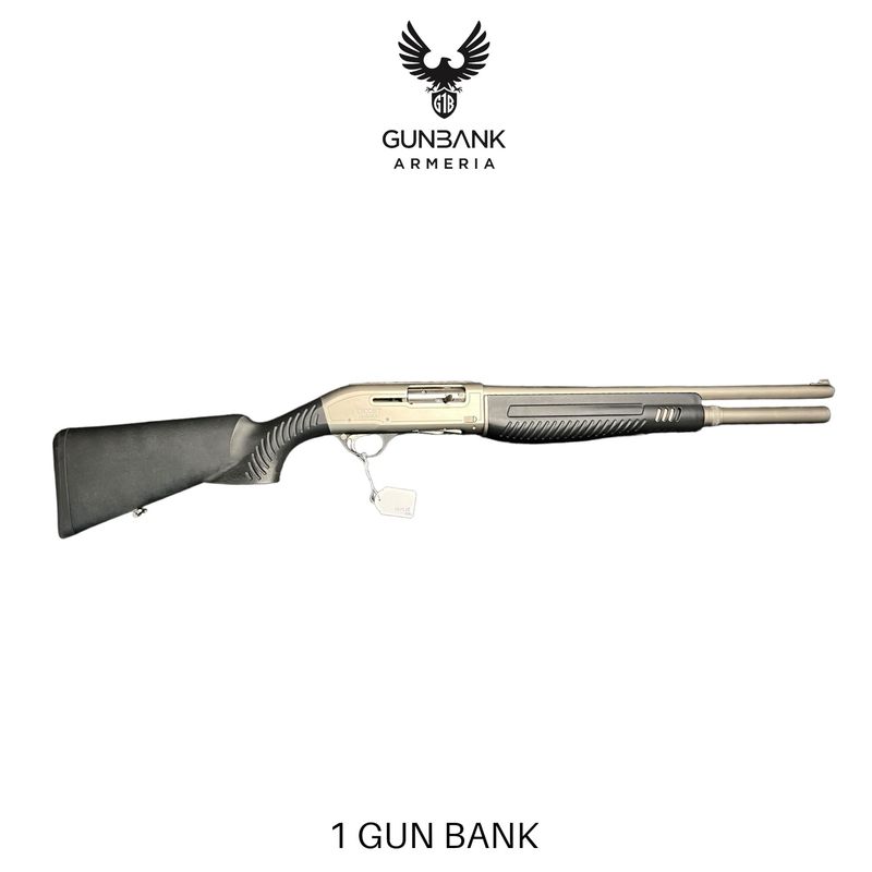 Hatsan Escort magnum cal. 12