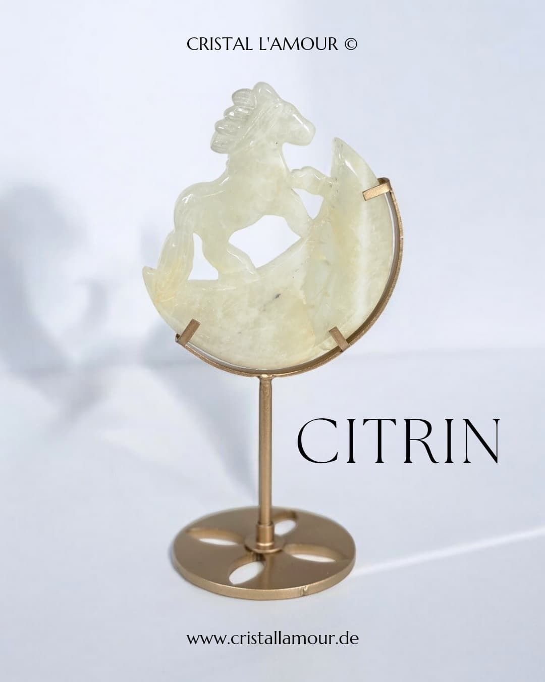 CITRIN Pferd