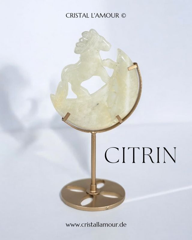 CITRIN Pferd