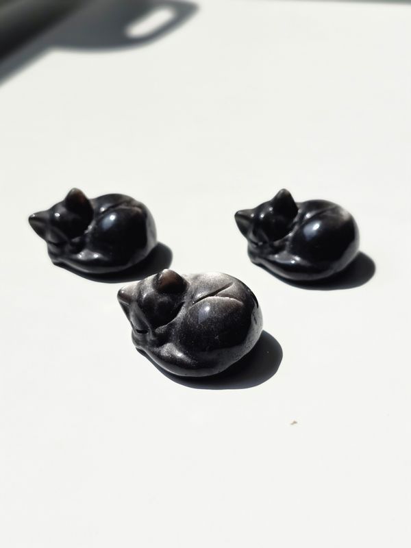 SILBER OBSIDIAN Baby Katze