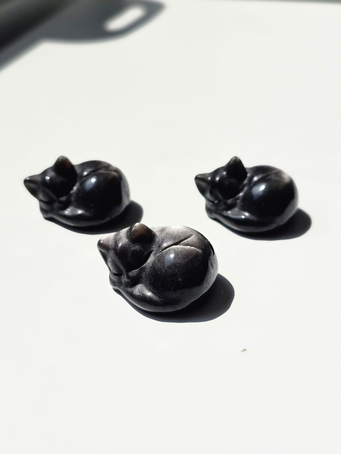 SILBER OBSIDIAN Baby Katze