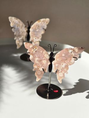 BLUMEN ACHAT Schmetterling