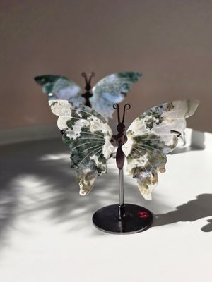 MOOSACHAT Schmetterling