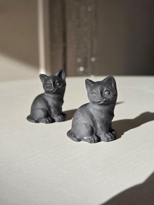 OBSIDIAN Katze stehend