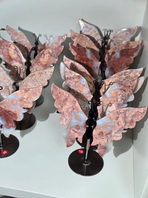 COTTON CANDY ACHAT Schmetterling