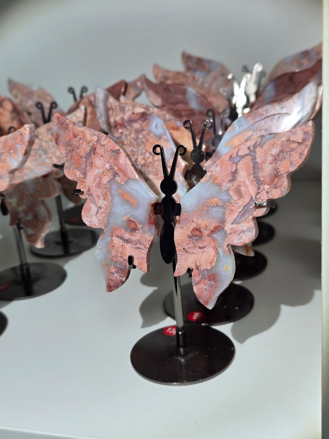 COTTON CANDY ACHAT Schmetterling