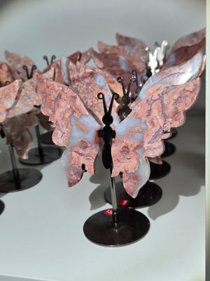 COTTON CANDY ACHAT Schmetterling