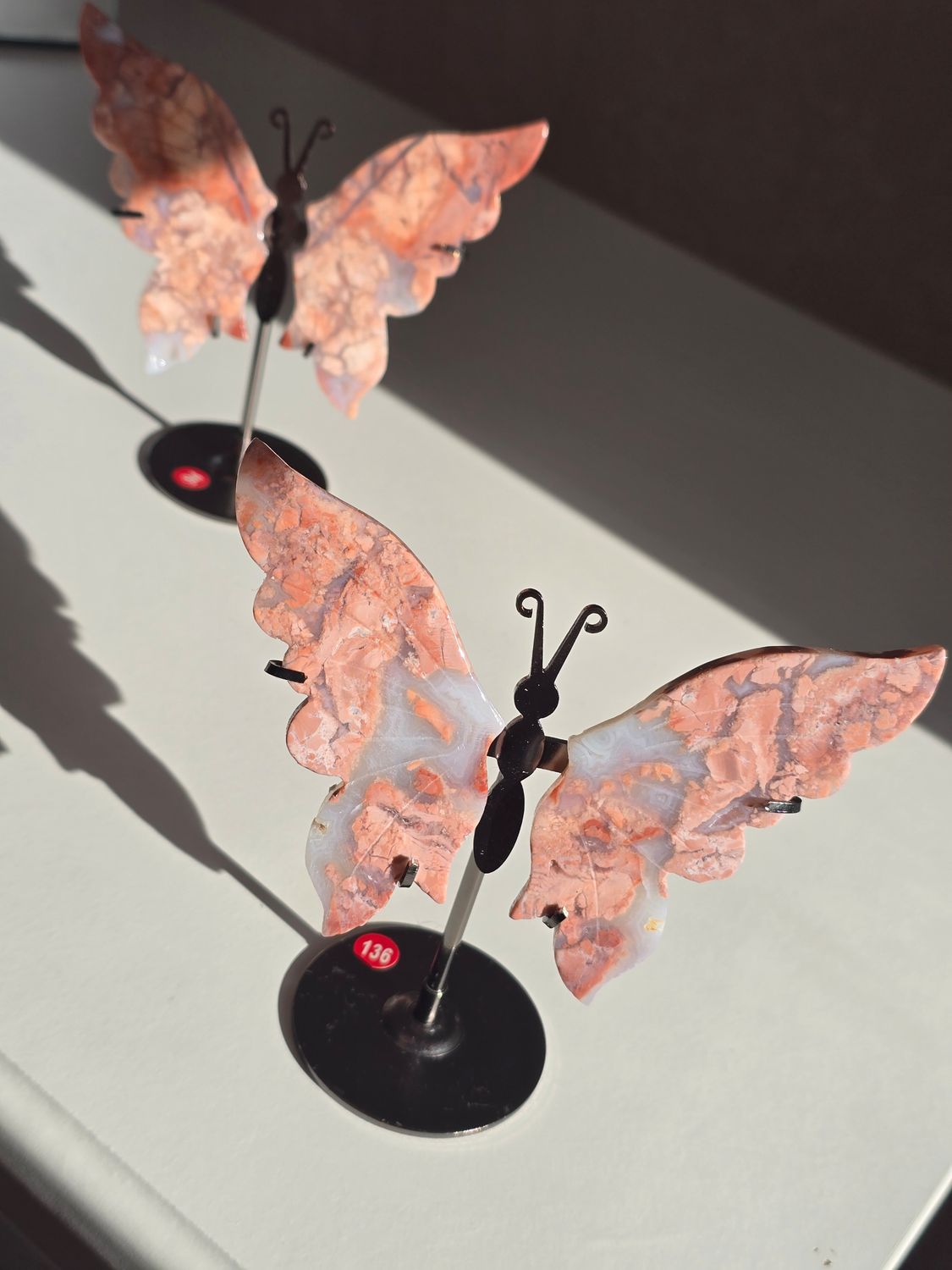 COTTON CANDY ACHAT Schmetterling