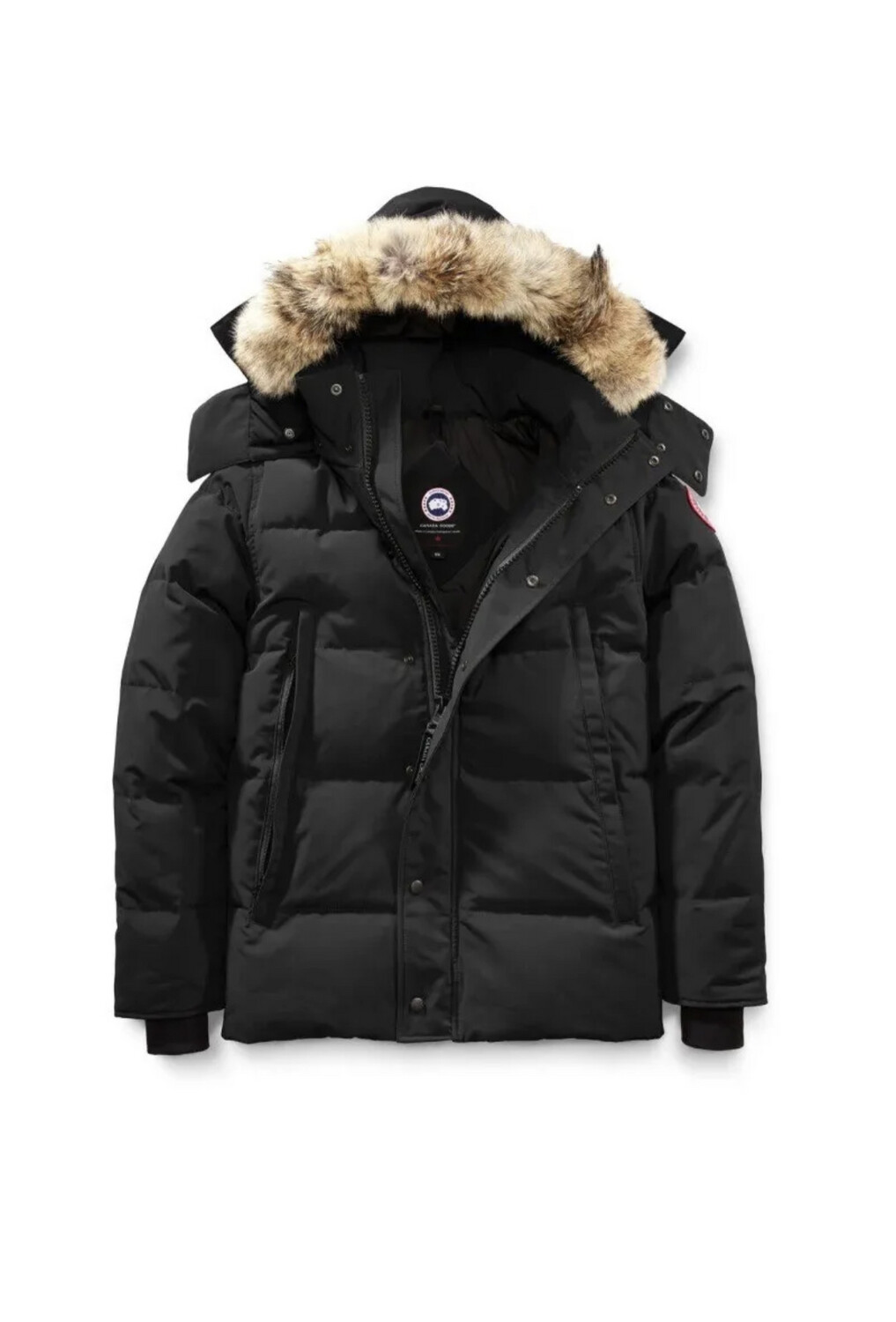 Canada Goose