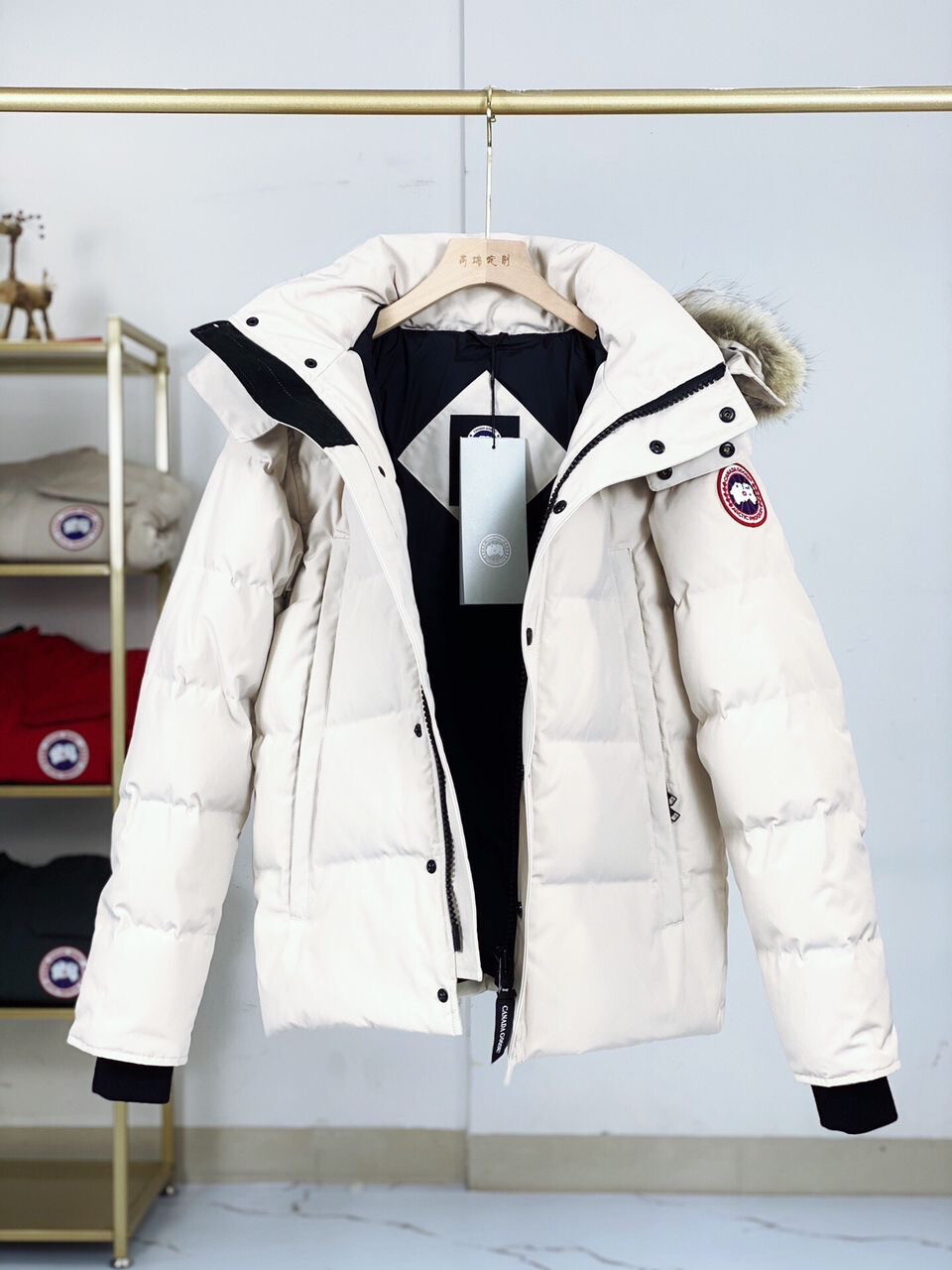 Canada Goose