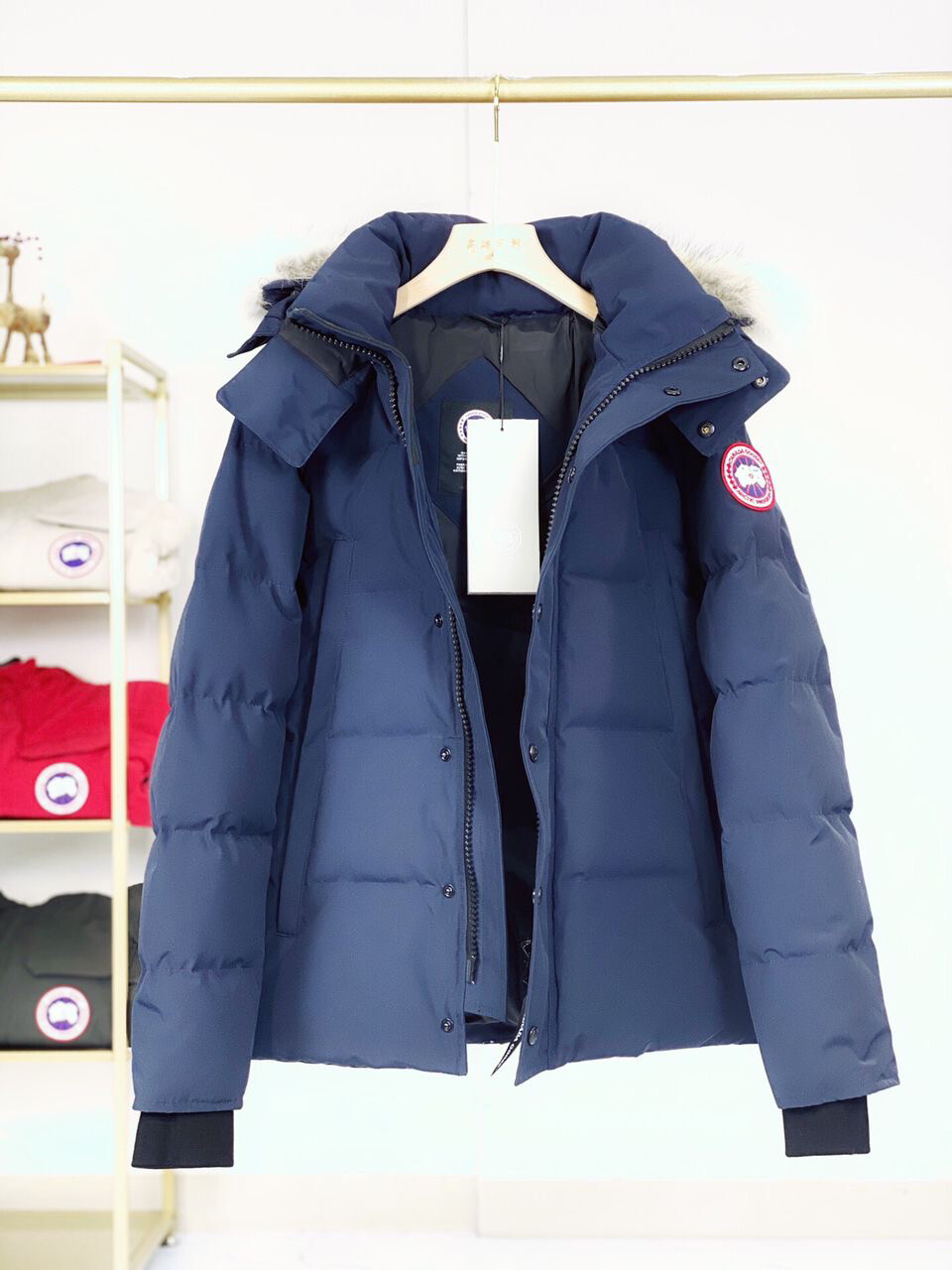 Canada Goose