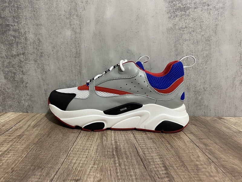 Dior b22