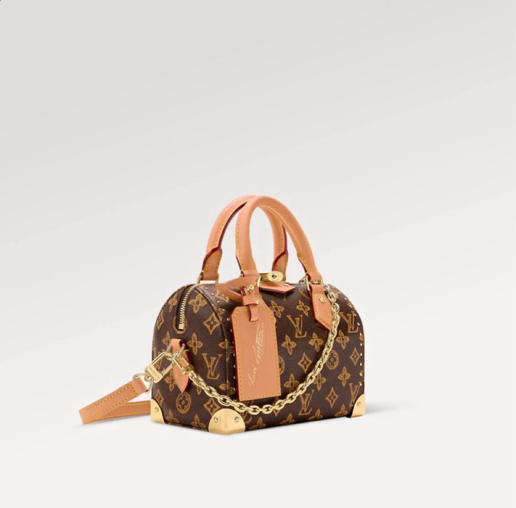Borsa Louis Vuitton Speedy Trunk 20