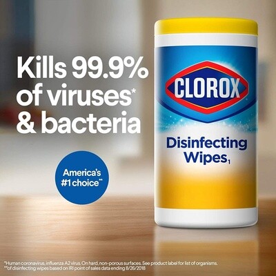 Clorox Wipes- 85CT