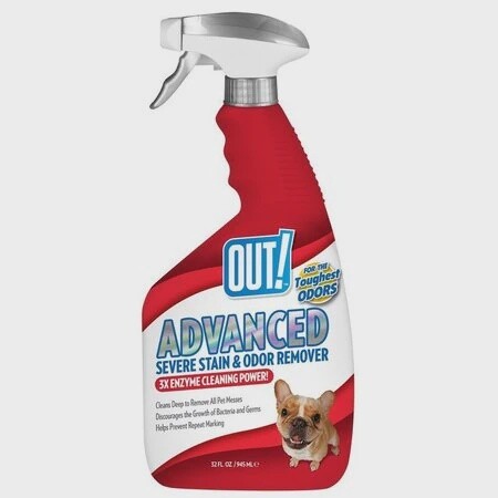 Out! Advanced Pro-Bacteria Pet Stain Odor Remover, 32 Fluid Ounc