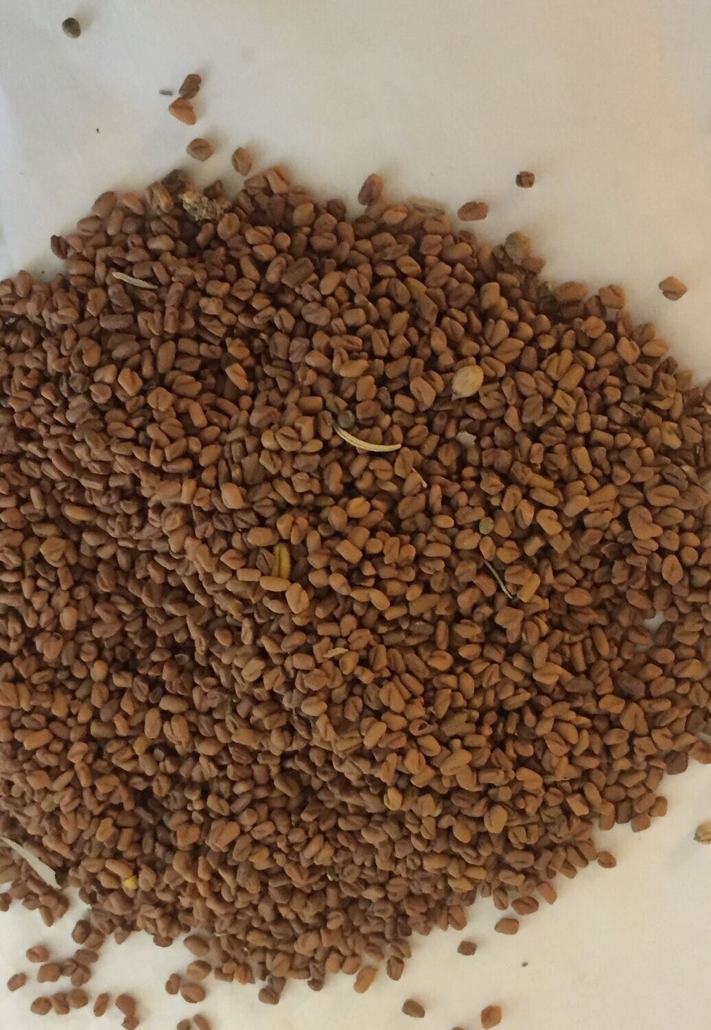 Le fenugrec 30g