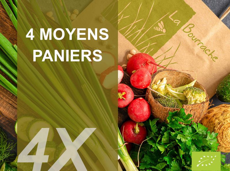 4 Moyens paniers bio