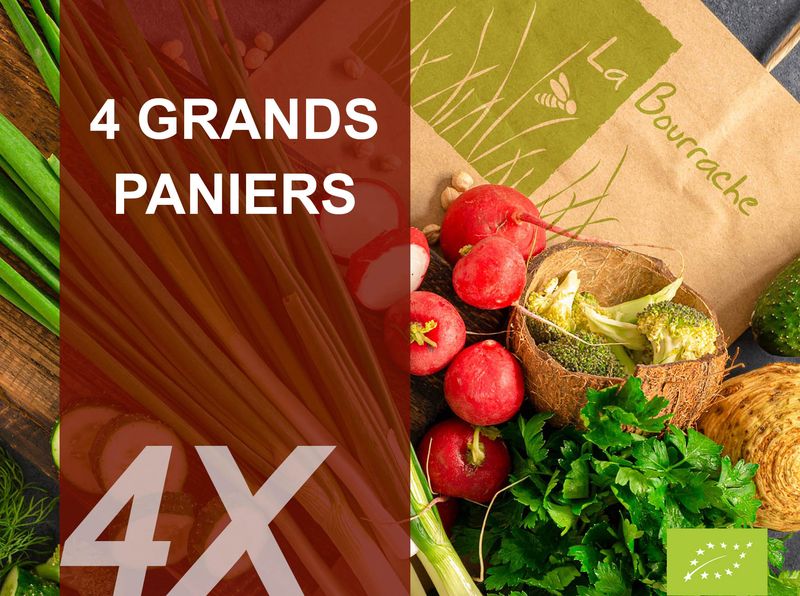 4 Grands paniers bio