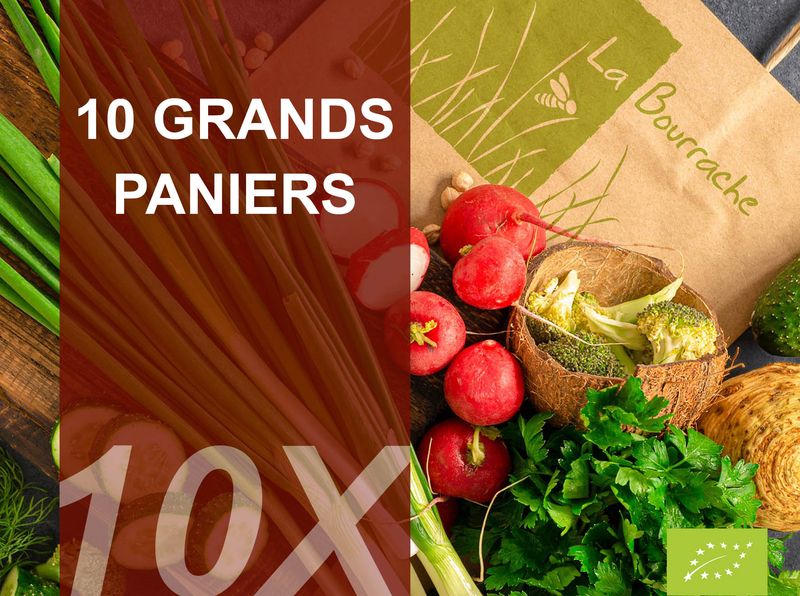 10 Grands paniers bio
