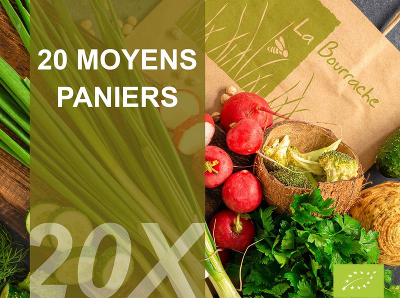 20 Moyens paniers bio