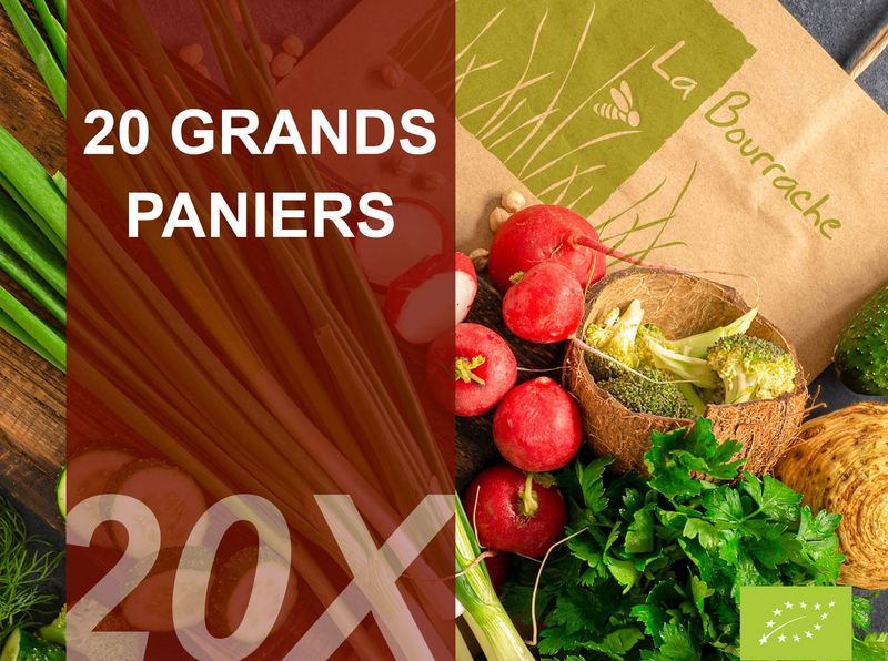 20 Grands paniers bio