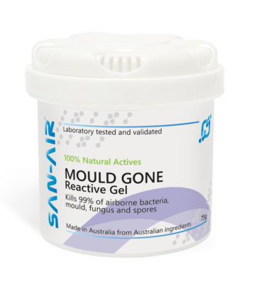 Mould Gone 75g