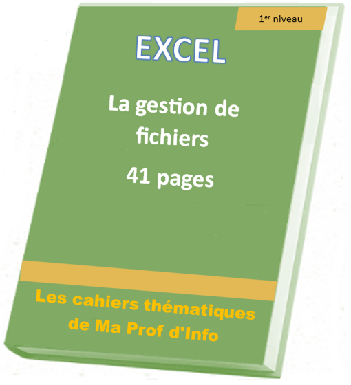 EXCEL - La gestion de fichiers