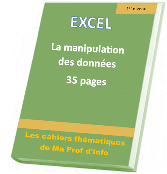 EXCEL - La manipulation des données