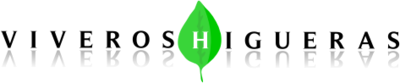 PACK 20 CACTUS M5,5