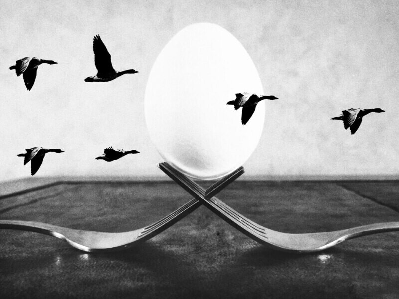 Balance