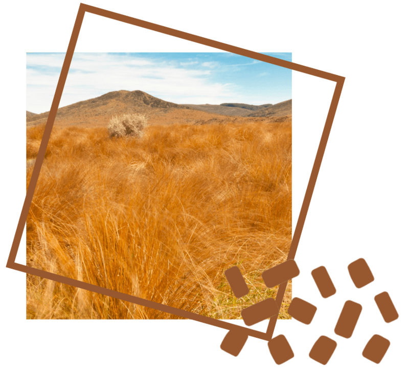 NORTHLAKE  - HEDGING