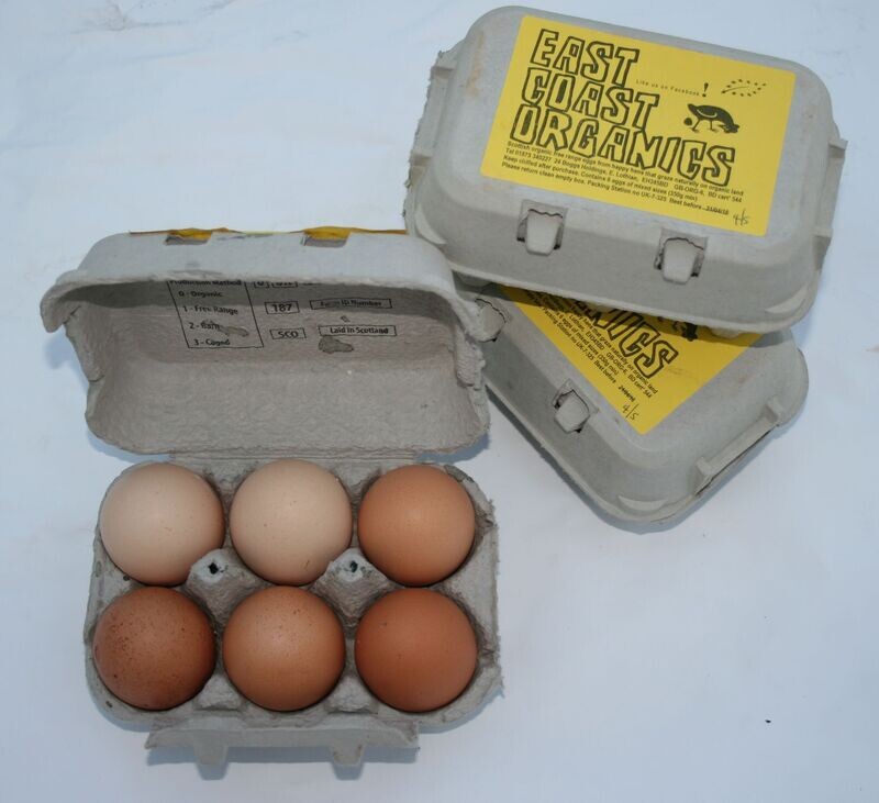 Local, Organic, Free Range Eggs