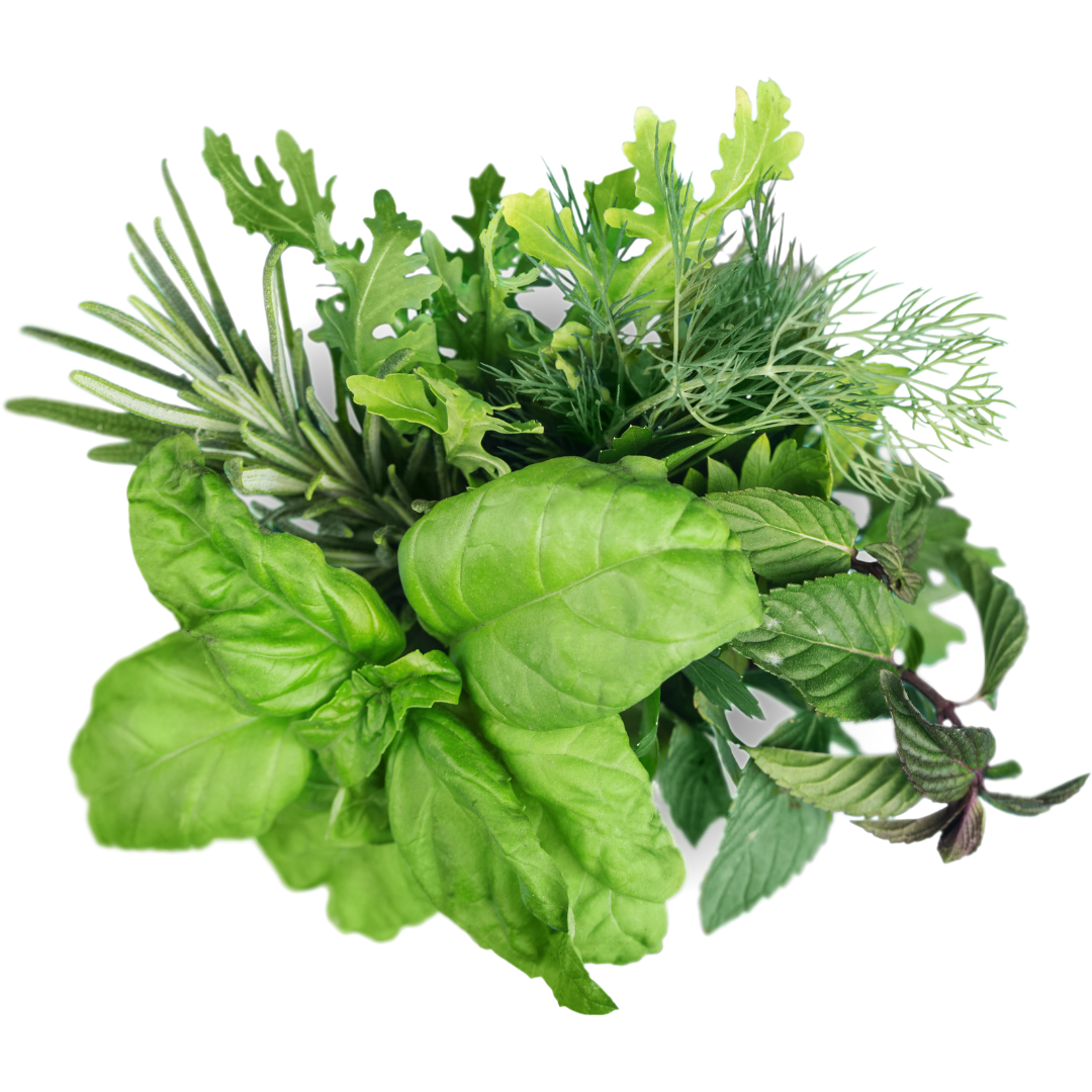Organic Herbs