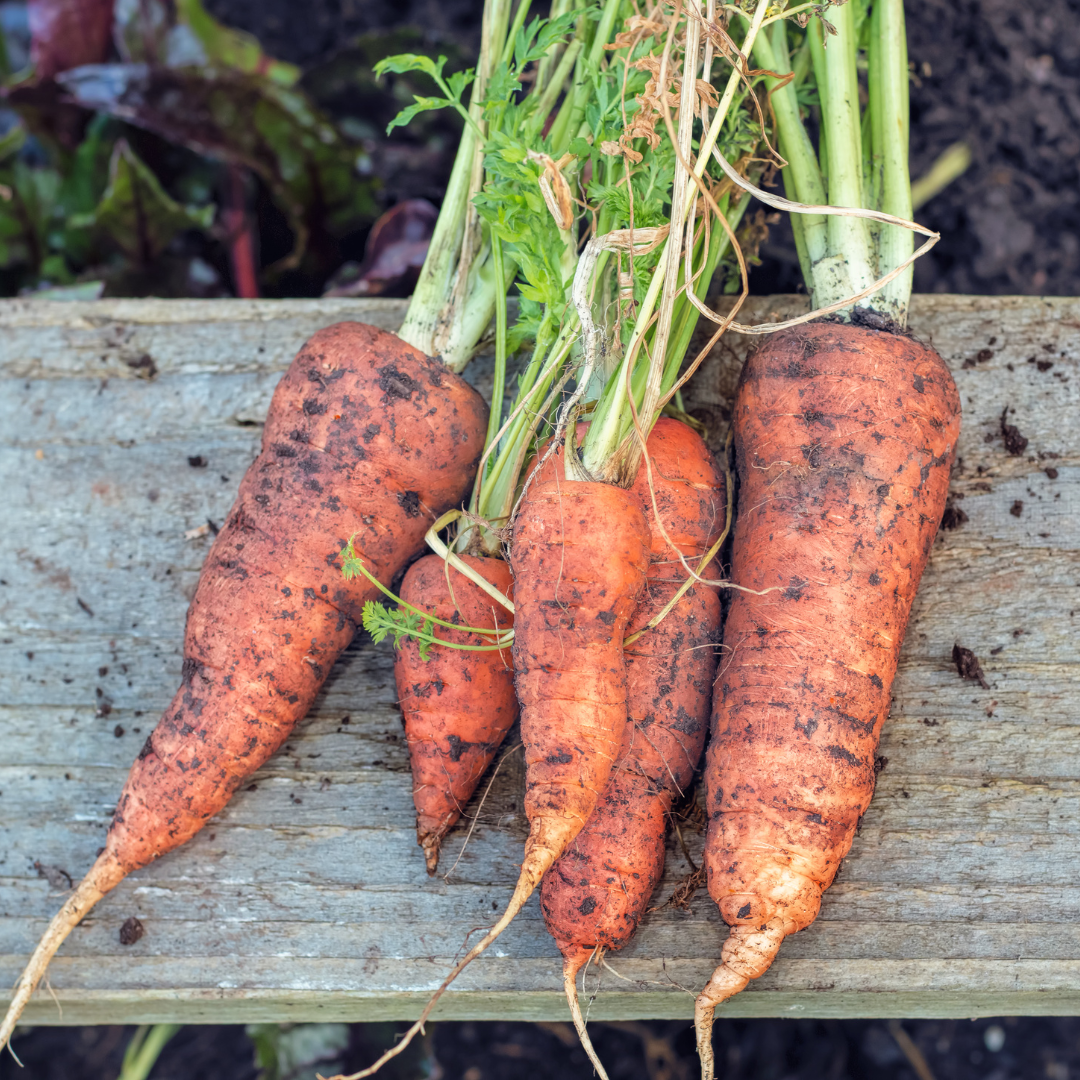 Organic / Biodynamic Fruit &amp; Veg