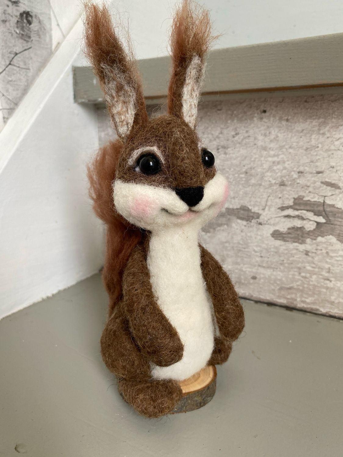 Egern 🐿️