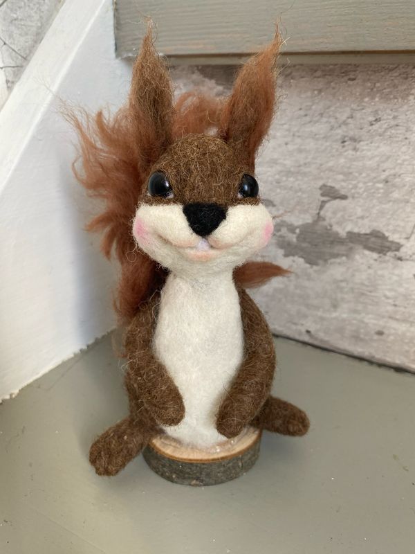 Egern 🐿️