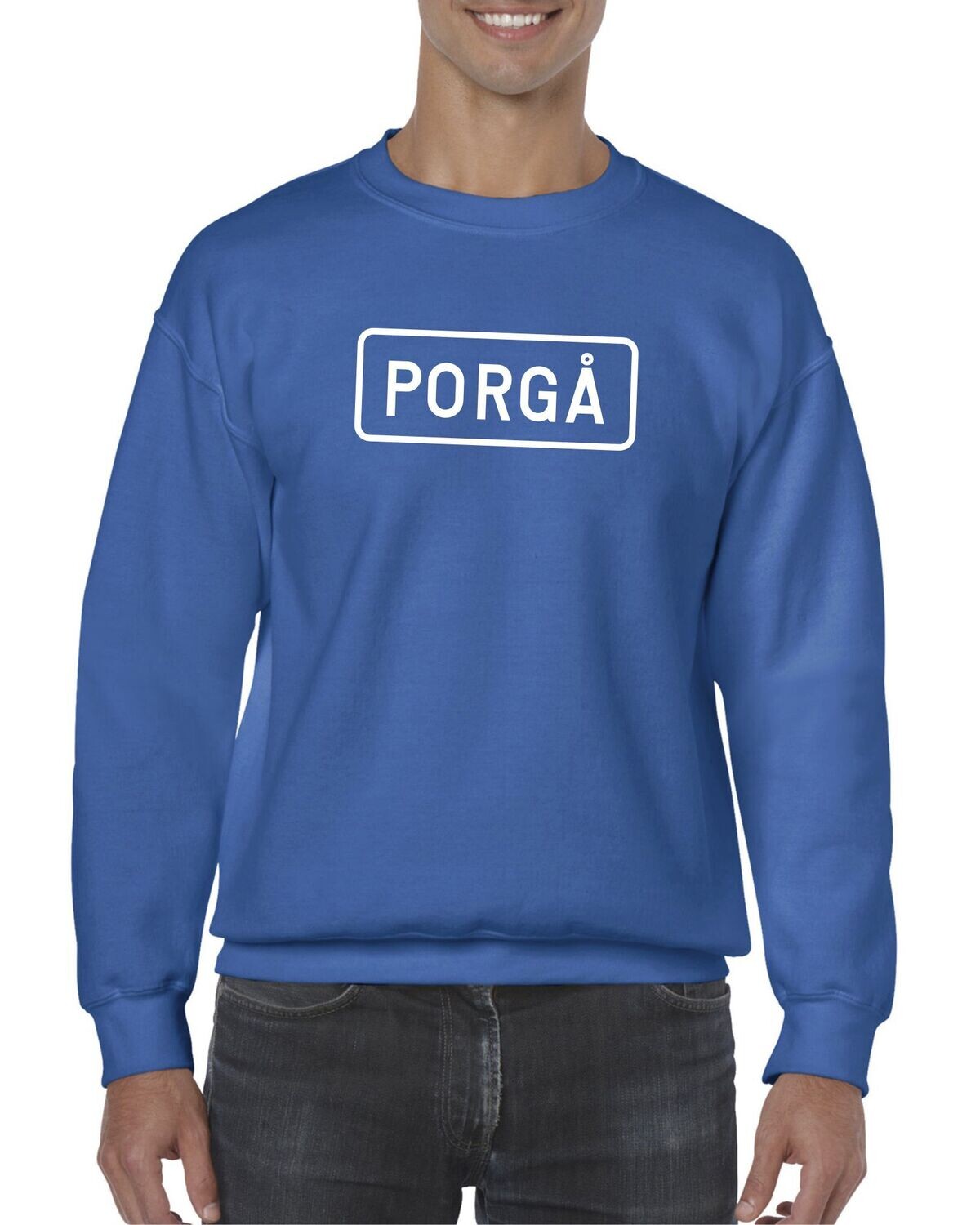 PORGÅ College