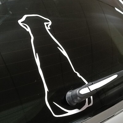 Labradorbakrutedekal