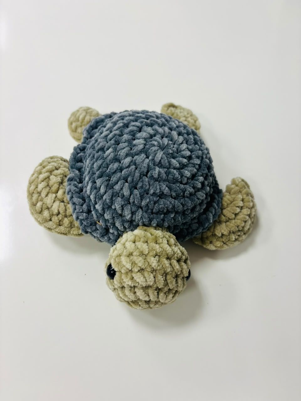 Milo The Turtle