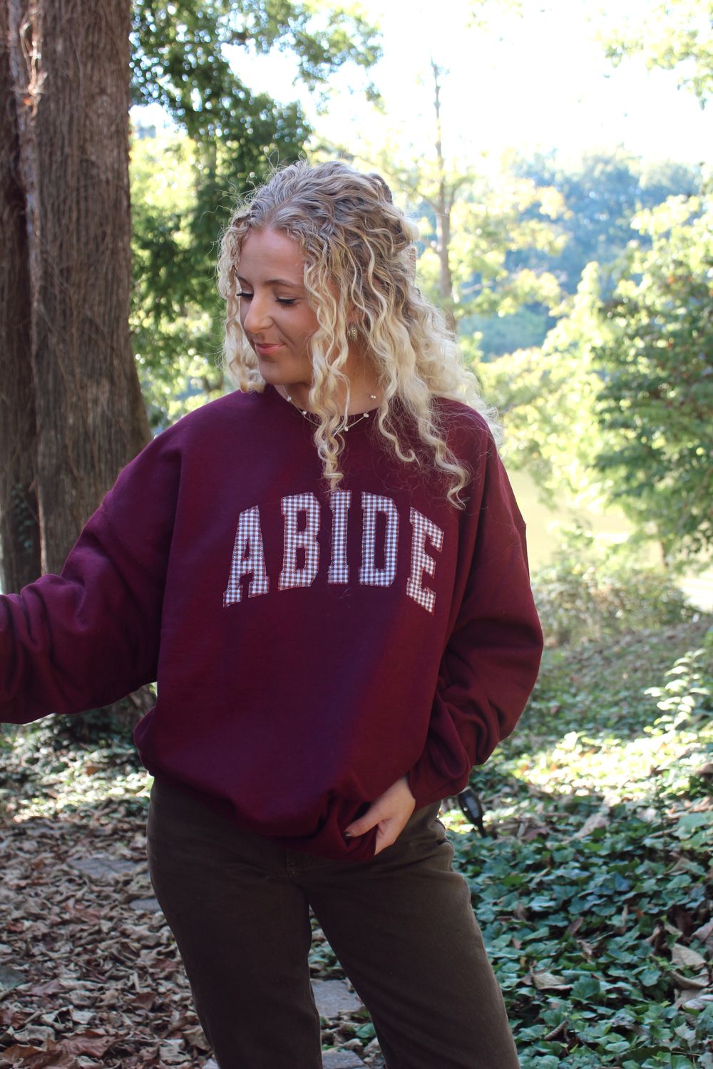ABIDE Gingham Appliqué Sweatshirt