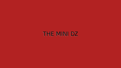 The Mini DZ