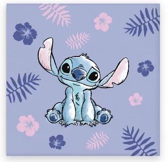 Disney Lilo und Stitch Kid Handtuch, Gesichtstuch
