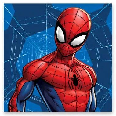 Spiderman Web Kid Handtuch gesichtshandtuch