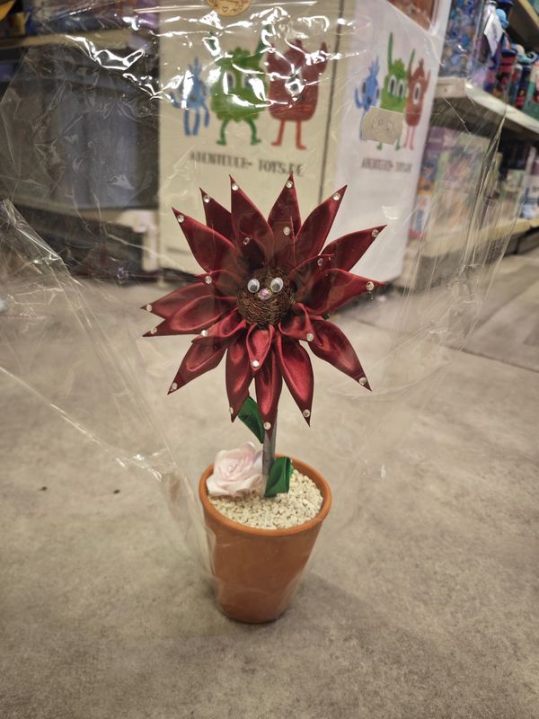 Sonnenblume weinrot Sonnenblume weinrot