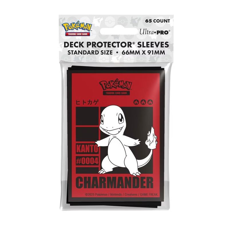 Pokemon Charmander Protector (65)