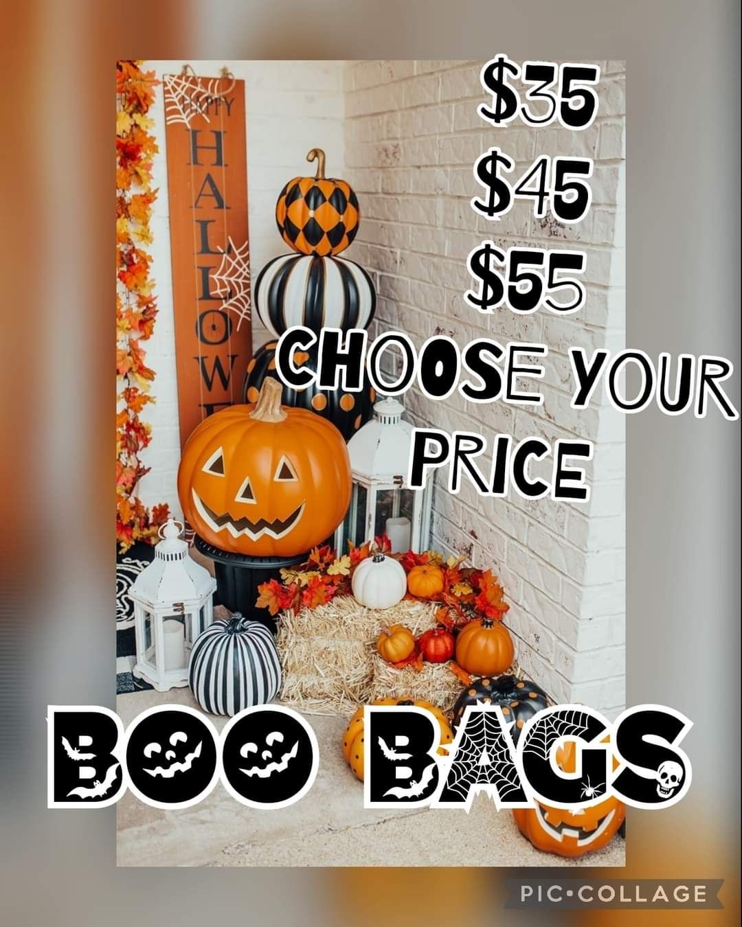 Boo Bags