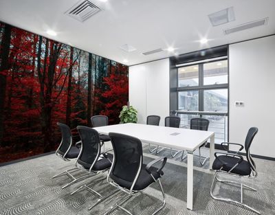 FAQs about Wall Murals