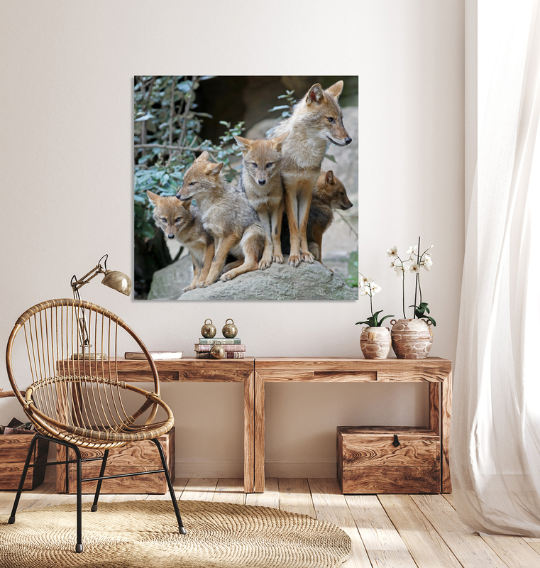 Custom Square Enhanced Matte Paper Poster Photo Print