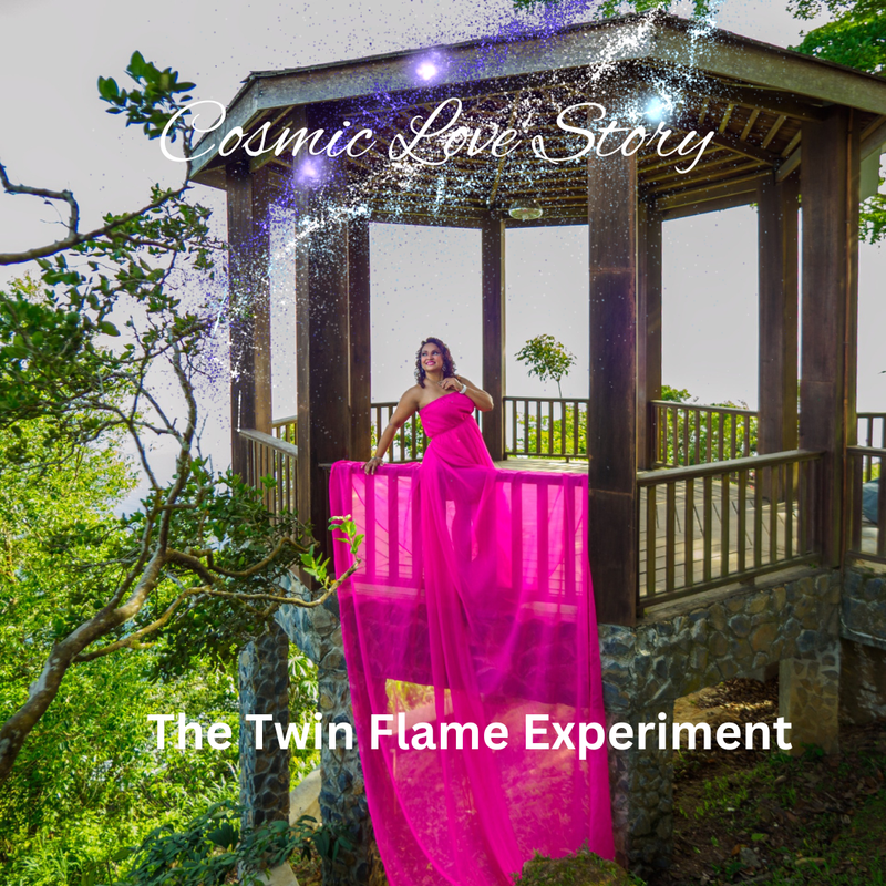 The Twin Flame Experiment